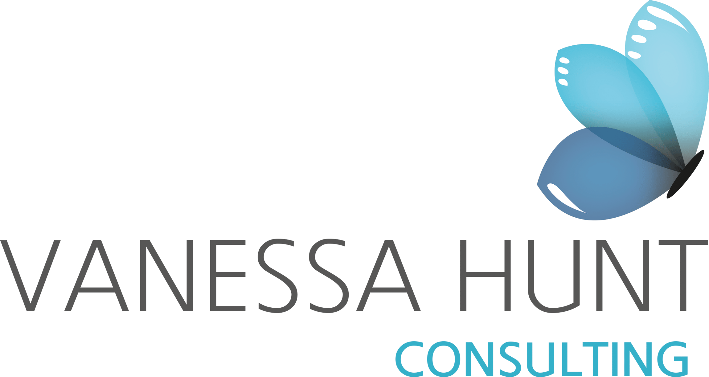 Vanessa Hunt Consulting logo