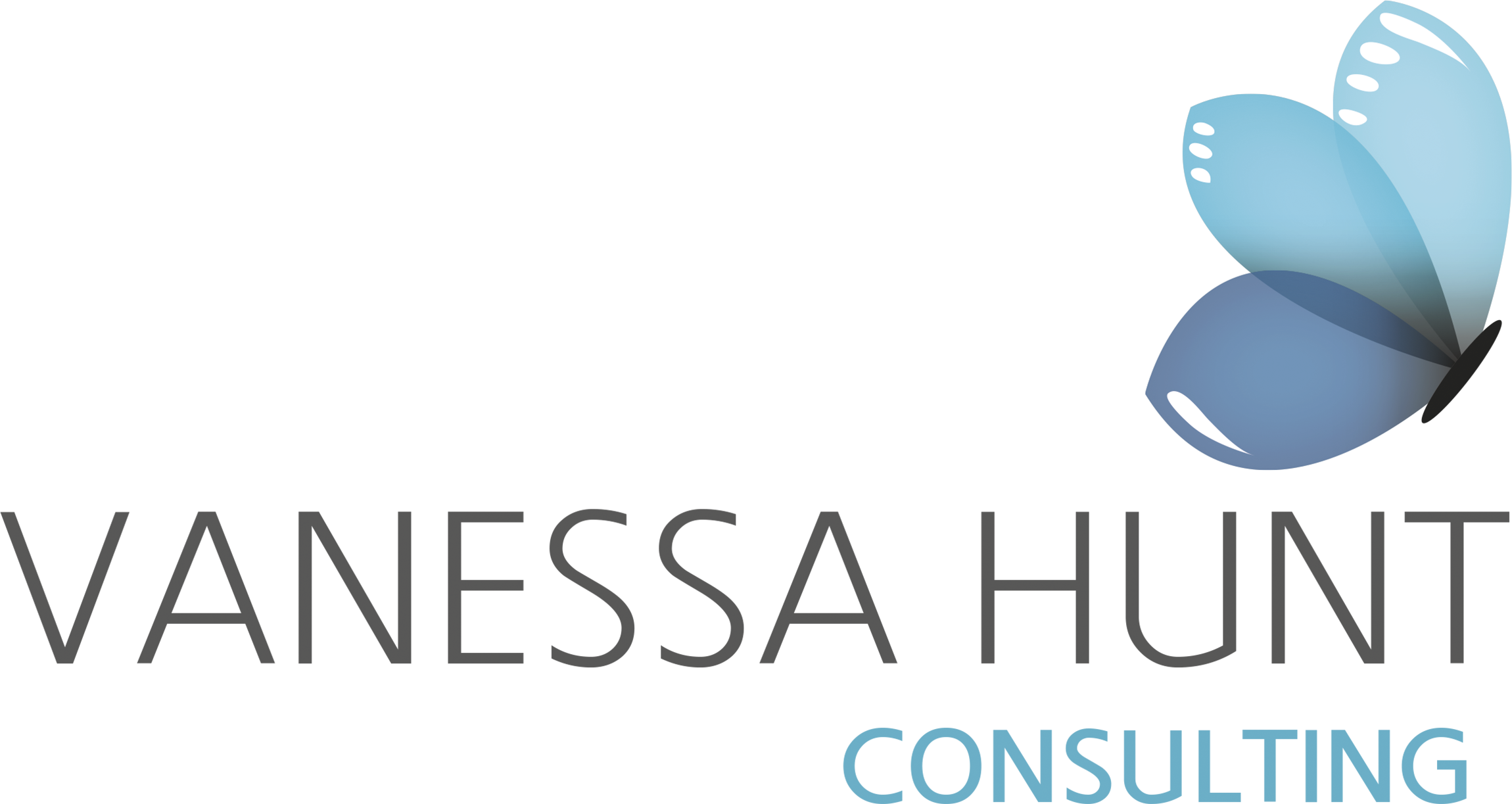 Vanessa Hunt Consulting logo